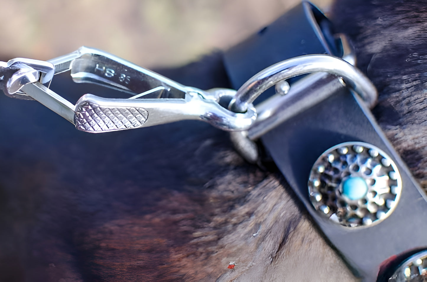 Beautiful Leather Dog Collar Decorated with Blue Stones