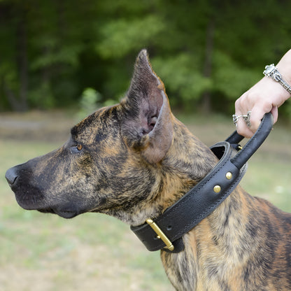 Extra Durable 2 Ply Leather Dog Collar with Handle - Ultimate Control