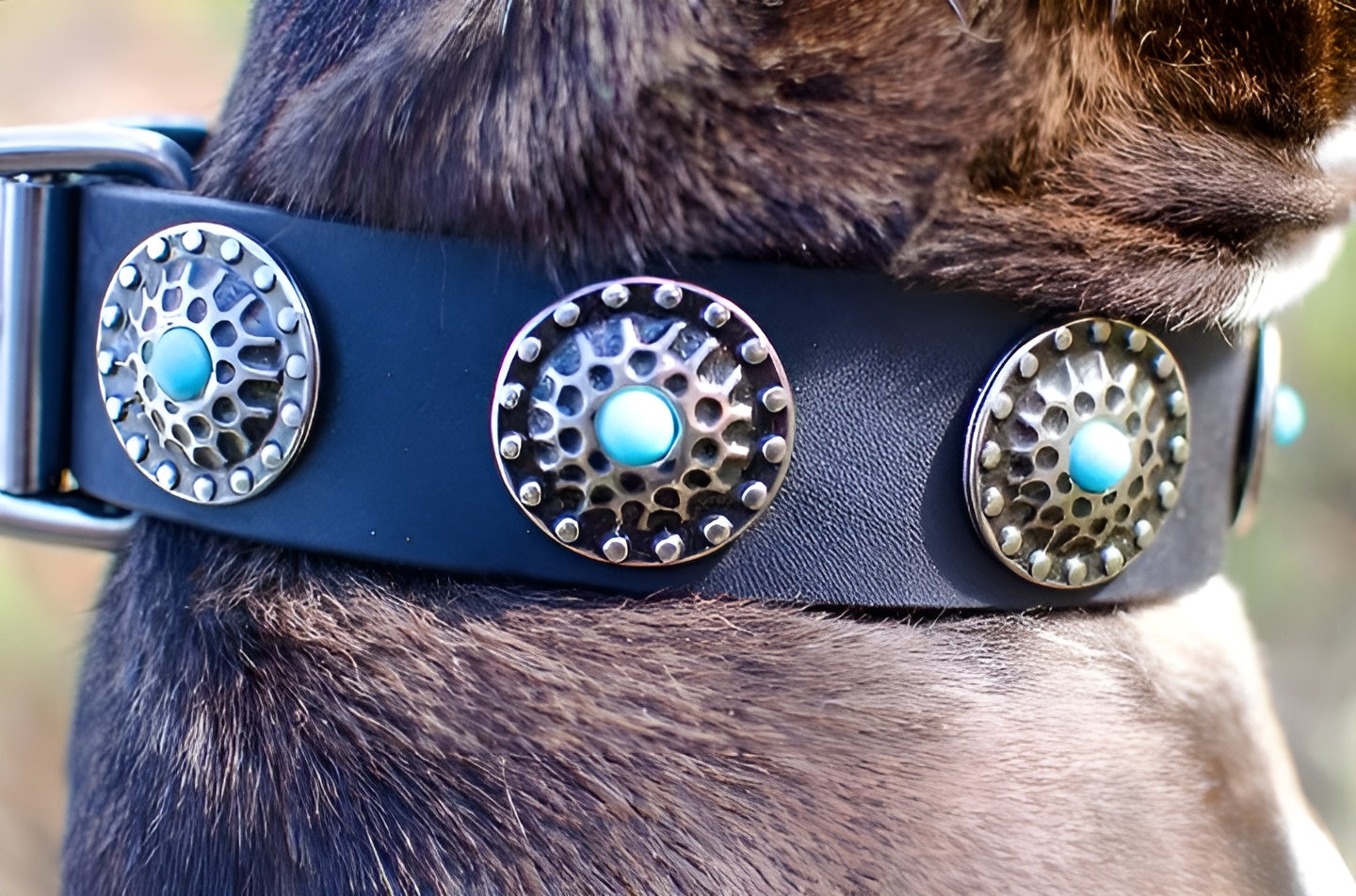 Beautiful Leather Dog Collar Decorated with Blue Stones