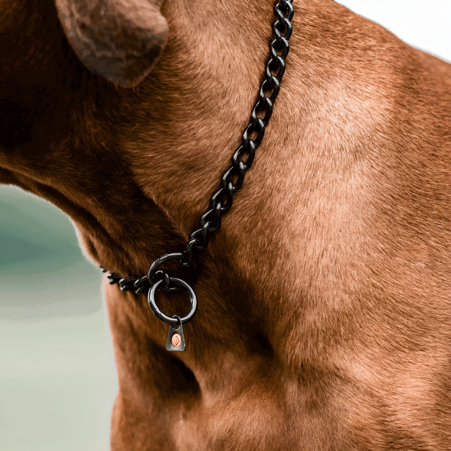 Herm Sprenger Black Stainless Steel Choke Dog Training Collar No-Pull Slip Chain for Small Medium Large Dogs for Easy Control Show Chain Made in Germany 3mm