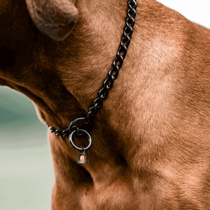 Herm Sprenger Black Stainless Steel Choke Dog Training Collar No-Pull Slip Chain for Small Medium Large Dogs for Easy Control Show Chain Made in Germany 3mm