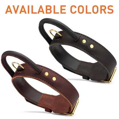 Extra Durable 2 Ply Leather Dog Collar with Handle - Ultimate Control