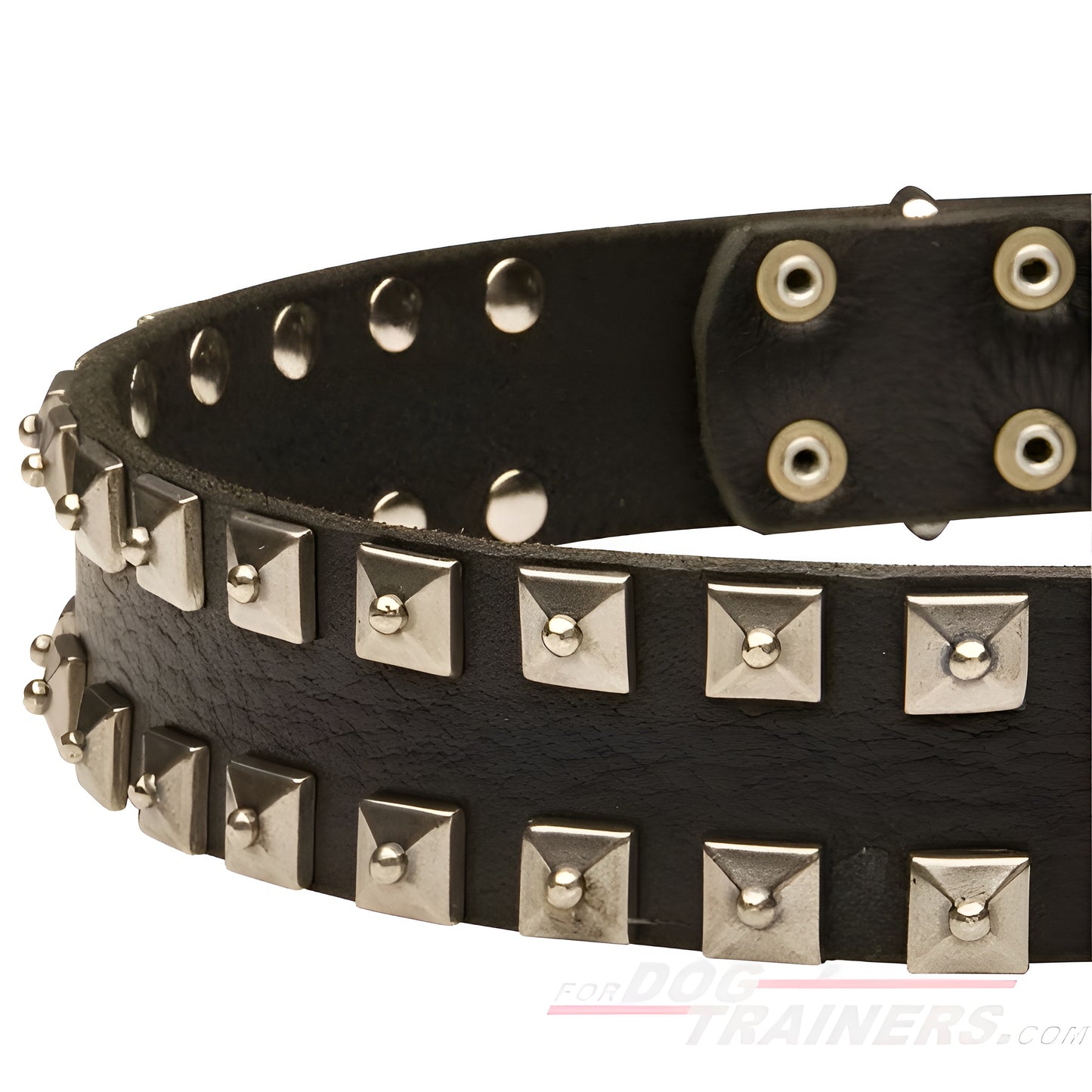 Fashion Dog Collar of Exclusive "Caterpillar" Design