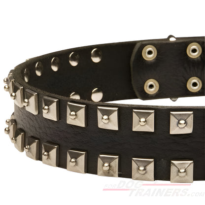 Fashion Dog Collar of Exclusive "Caterpillar" Design