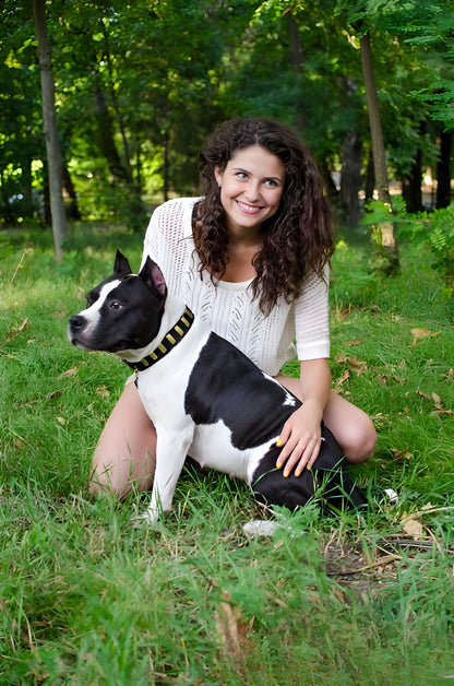 Fashion Studded Dog Collar with Sparkling Plates for Walking