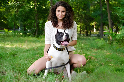Fashion Studded Dog Collar with Sparkling Plates for Walking