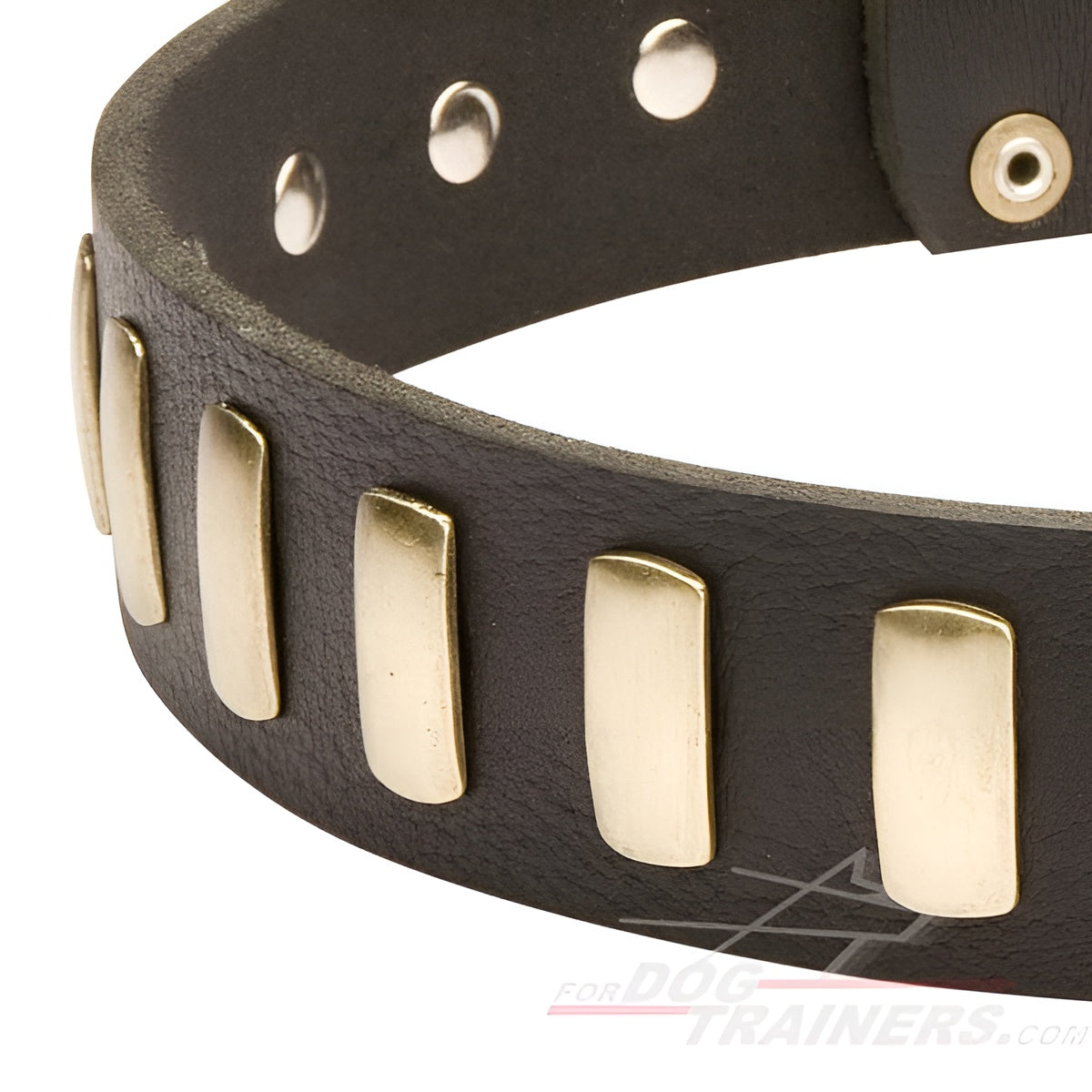 Fashion Studded Dog Collar with Sparkling Plates for Walking