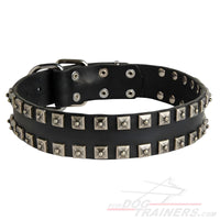 Fashion Dog Collar of Exclusive 