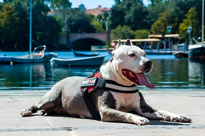 Unimax Multi-Purpose Harness
