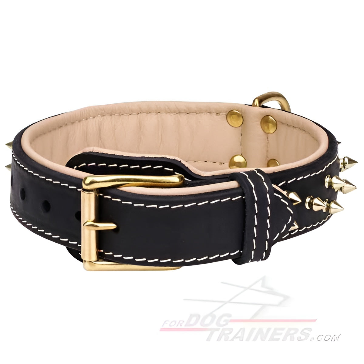 Gorgeous Leather Collar with Two Rows of Awesome Brass Spikes