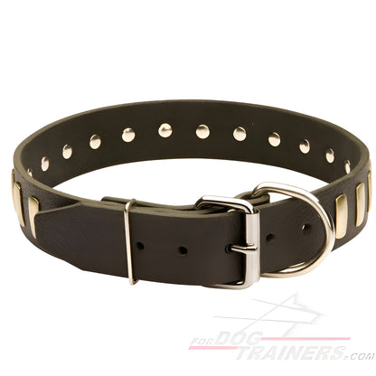 Fashion Studded Dog Collar with Sparkling Plates for Walking