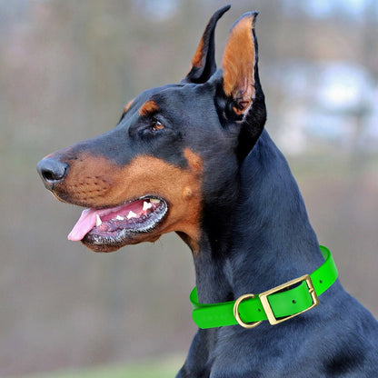 Viper Biothane Waterproof Collar - Brass Hardware