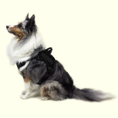 Quest Universal Dog Harness – Control, Safety, and Comfort in Every Step