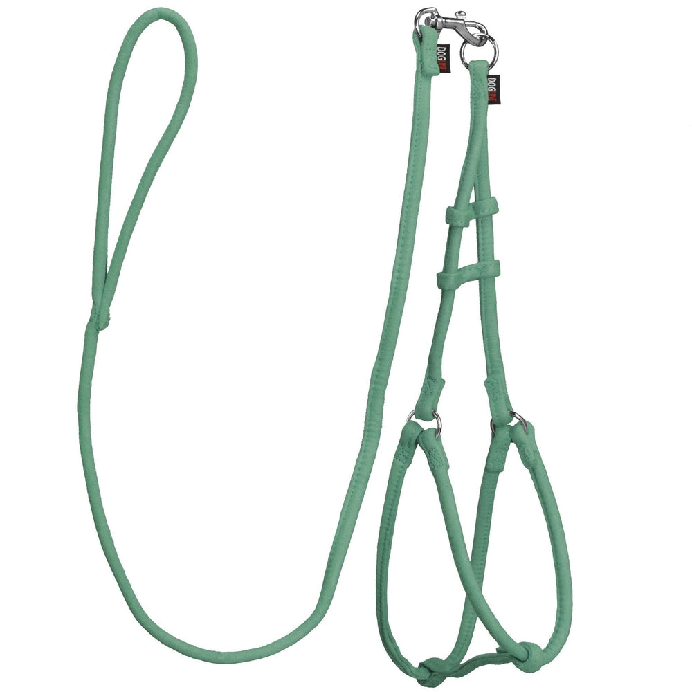 Comfort Microfiber Round Step-In Harness & Leash Set – Small Dog Harness Set – Teal