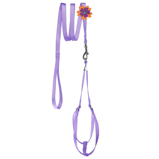 Step-In Nylon Harness + Optional Flower Leash