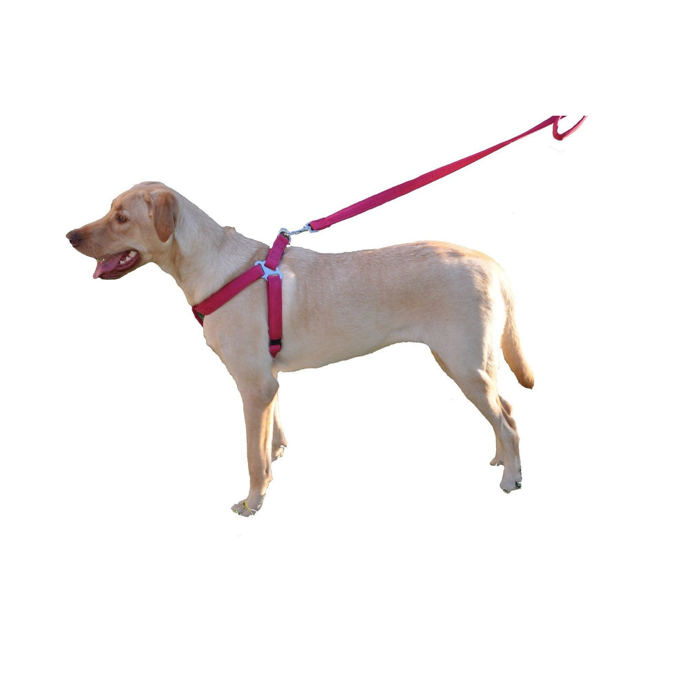 Comfort Microfiber Flat Step-In Dog Harness – Soft Harness for Small Dogs – view 16