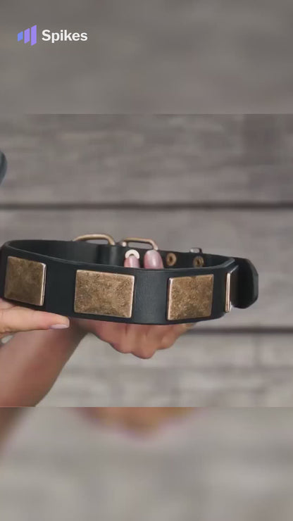 Blast War Leather Dog Collar with Plates