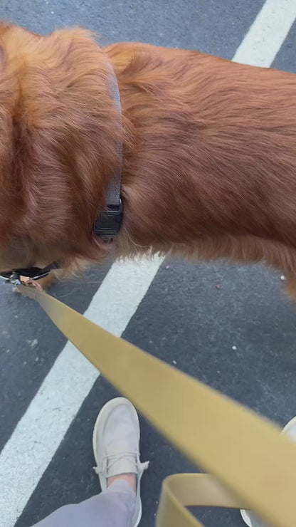 Biothane Waterproof Leash 6 ft