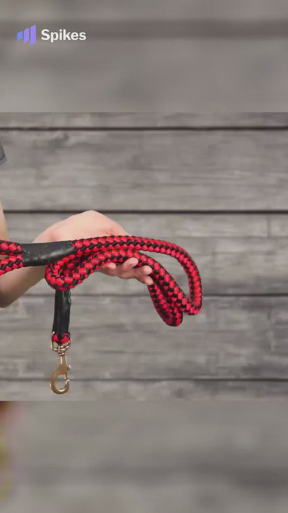 High Quality Cord Nylon Dog Leash for Big Dogs with Extra Strong Brass Snap Hook