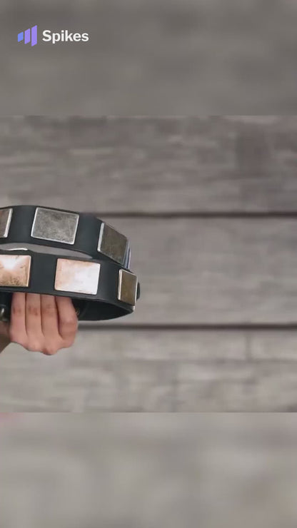 Blast War Leather Dog Collar with Plates