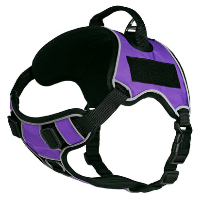 Quest Universal Dog Harness – Control, Safety, and Comfort in Every Step