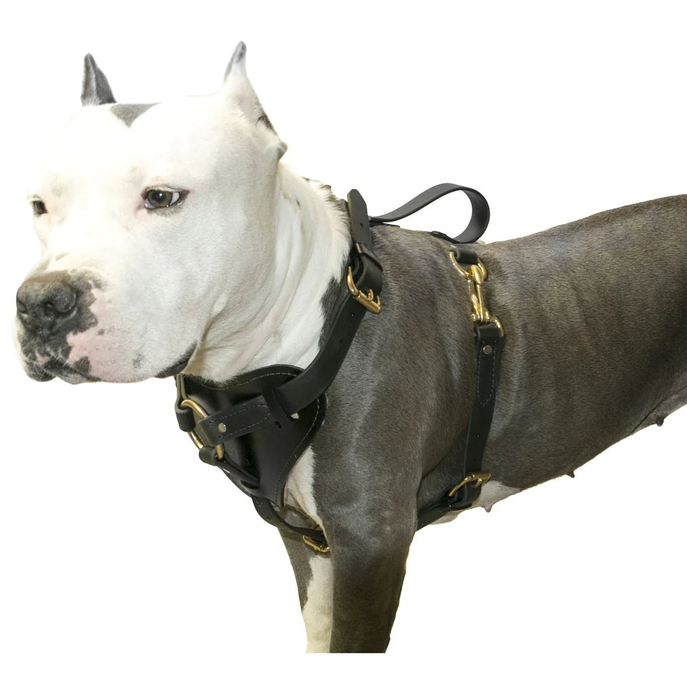 Viper Surge Biothane Working Dog Harness