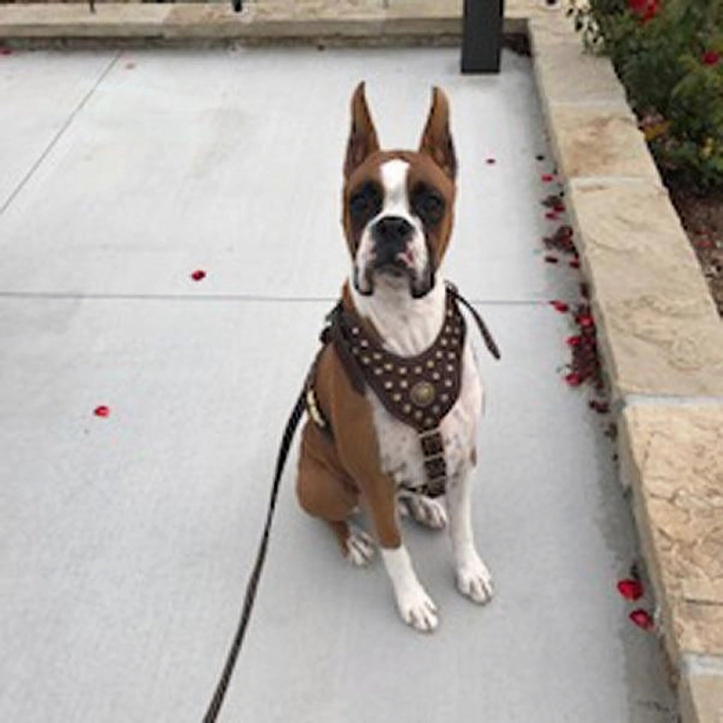 Handcrafted Leather Dog Leash for Walking and Tracking