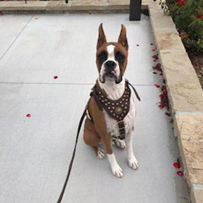 Handcrafted Leather Dog Leash for Walking and Tracking