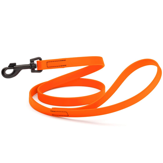 Biothane Waterproof Leash 2 ft