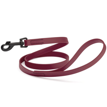 Biothane Waterproof Leash 2 ft