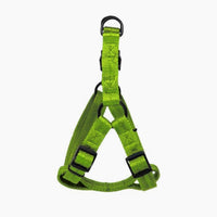 Nylon Flat Step-In Harness