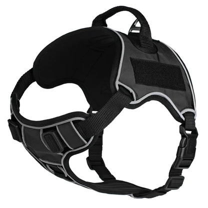 Quest Multi-Purpose Dog Harness