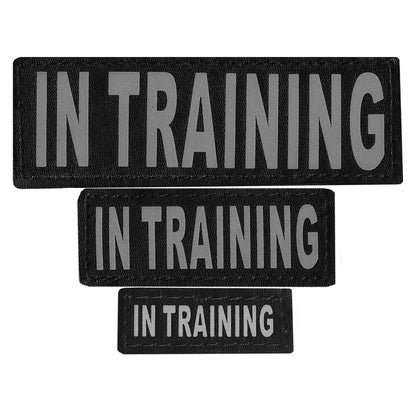 Removable Reflective Patches (Set of 2)