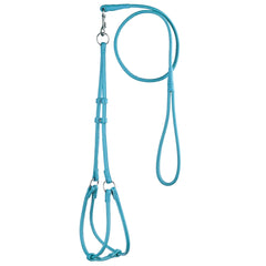 Soft Leather Round Step-In Harness + Round Lead
